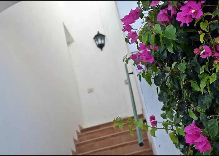 La Ola * קורלחו